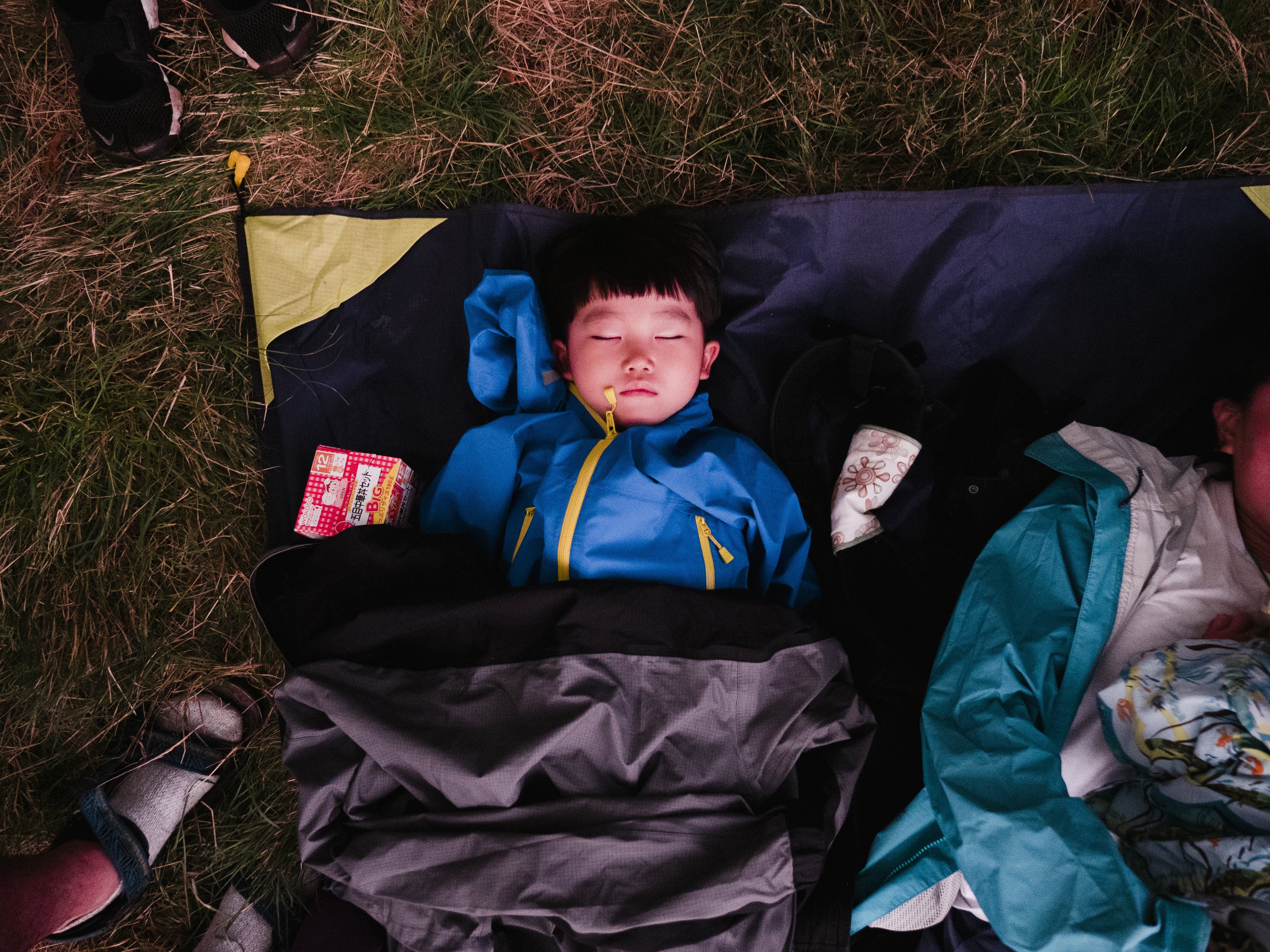 フジロック2018回想