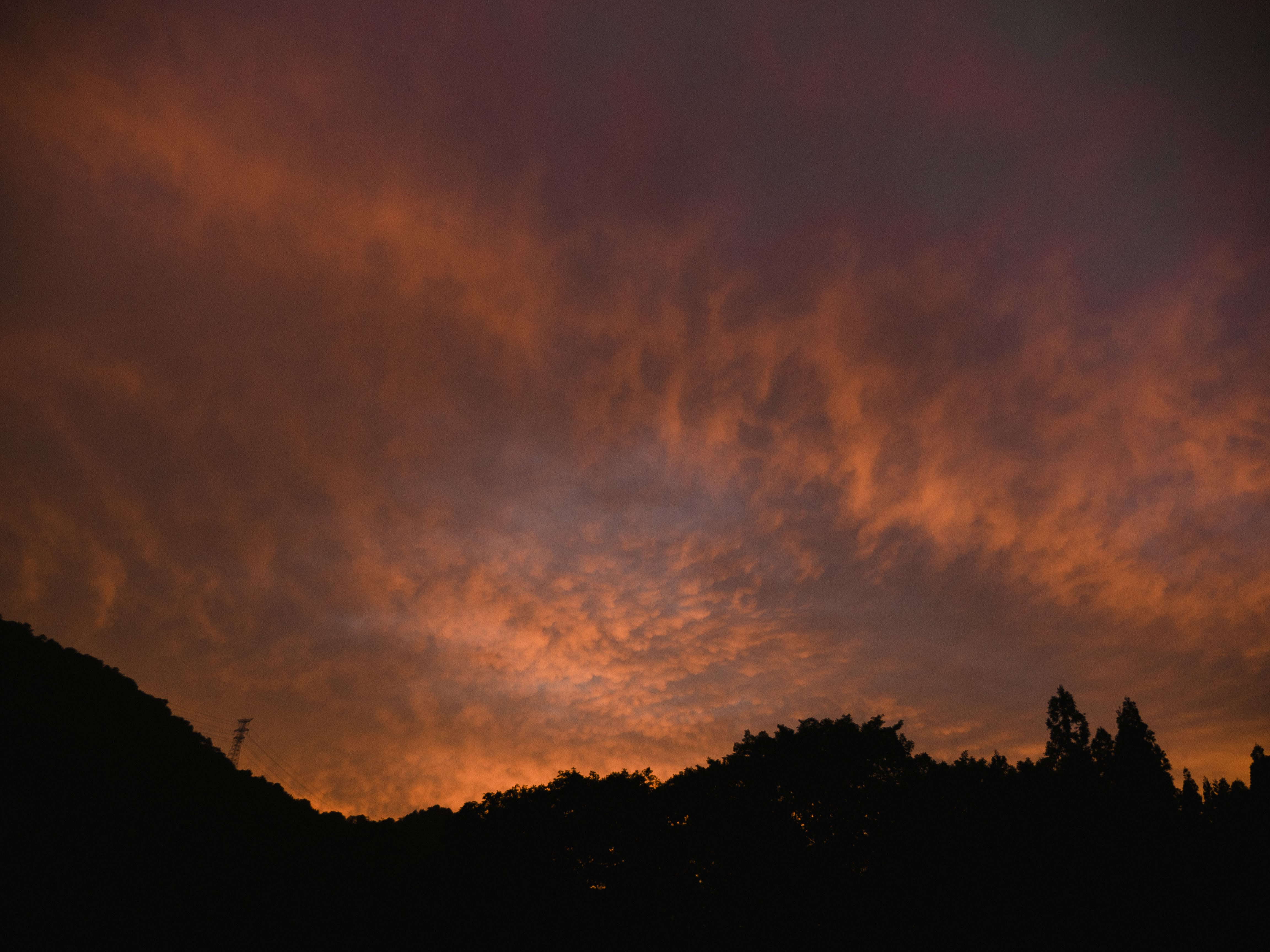 フジロック2018回想